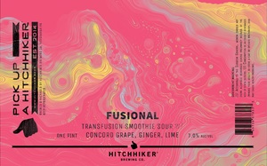 Fusional - Transfusion Smoothie Sour w/ Concord Grape, Ginger & Lime - 4-Pack